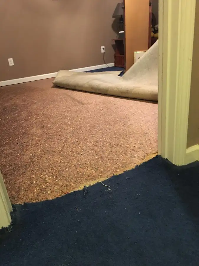 Carpet pad removal revealing water damage during Water Mitigation Services in San Leandro