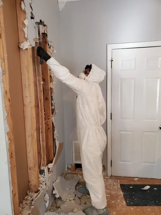 Water Damage Restoration services in San Leandro, CA